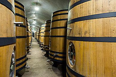 《哆啦A梦牧场物语 自然王国与和乐家人》新预告：栽培作物